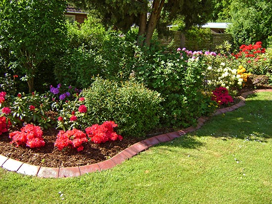 bordure décorative parterre de fleurs jardin extérieur